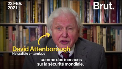 Le vibrant appel du naturaliste David Attenborough aux dirigeants du monde entier