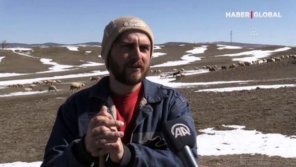 Avukatlık yerine çobanlığı tercih etti: "Hayvanlarımla mutluyum"