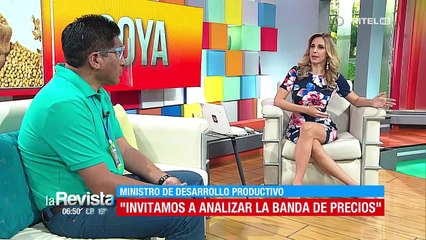 Gobierno la necesidad de aplicar una banda de precios a la producción de soya