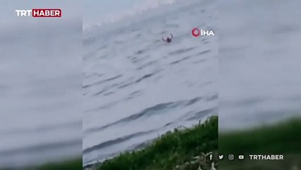 Denize atlasa da polisten kaçamadı