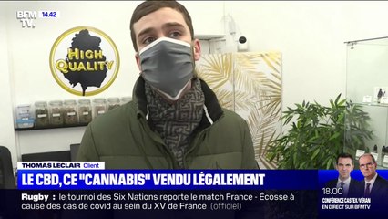 Qu'est-ce que CBD, ce "cannabis" vendu légalement ?