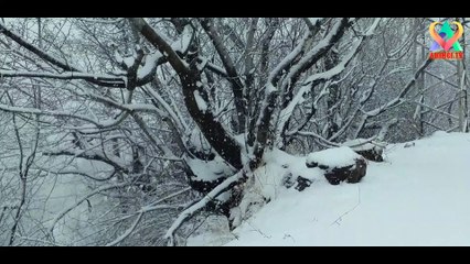 Download Video: KAR YAĞIŞI /Dağ Köyünde Kar Yağışı Güzel Rahatlatıcı Kar Yağışı İle Huzuru Yaşa