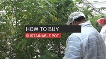 How to Buy Sustainable Pot