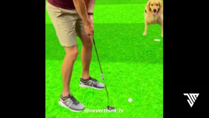 memes that I stole from my friend's school bag