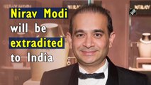 PNB Scam: Nirav Modi will be extradited to India, orders UK court