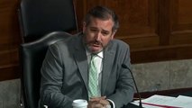 Sen. Ted Cruz questions witnesses at Capitol insurrection Senate hearing