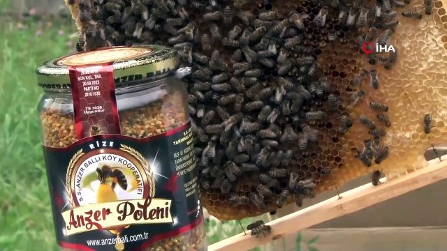 İmparatorların balı olarak bilinen dünyaca ünlü Anzer Balı coğrafi işaret tescili aldı