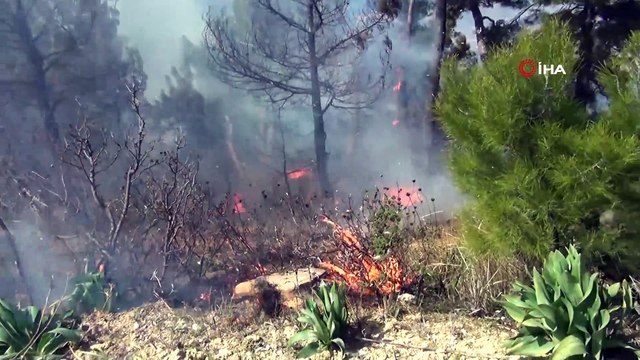 Manavgat’taki orman yangını kontrol altında