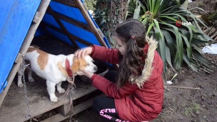 Cemre'nin 'Pamuk' gibi yüreğini tüm Türkiye sevdi