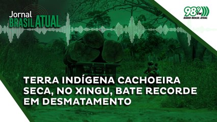 Terra indígena Cachoeira Seca, no Xingu, bate recorde em desmatamento