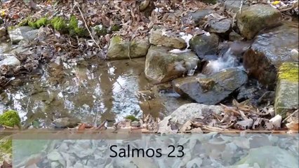Salmos 23 con Ann M. Wolf