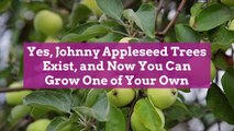 Yes, Johnny Appleseed Trees Exist, and Now You Can Grow One of Your Own