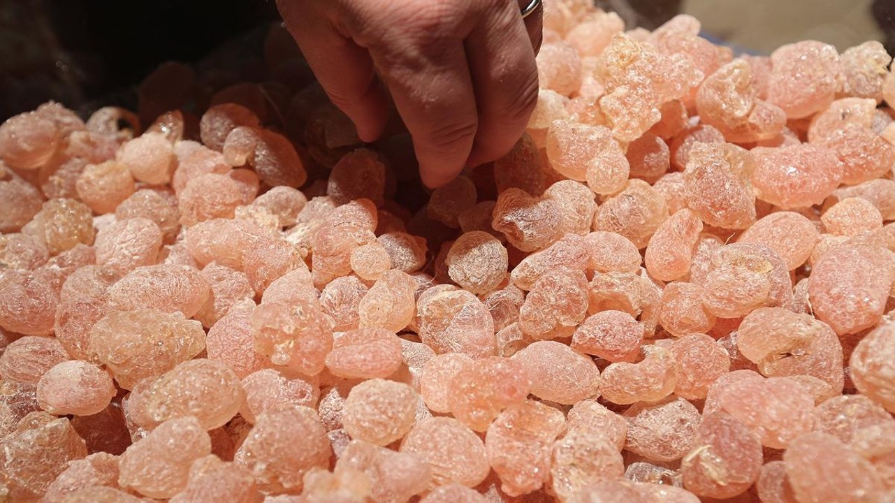UAE Space Gum