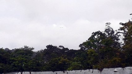 Airbus A320NEO PR-YRT na aproximação final antes de pousar em Manaus vindo de Campinas