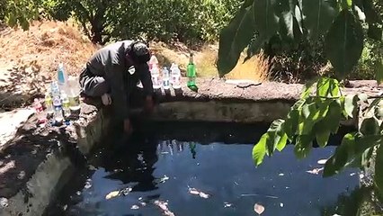 The Father of Trees (Teymour Ghaderi/Iran)