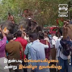 Elephant Race Marks Beginning Of Guruvayur Sree Krishna Temple Festival