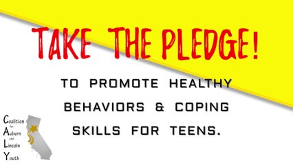 What's Your Pledge ft. RAZA | We Pledge 2 by Passionatic