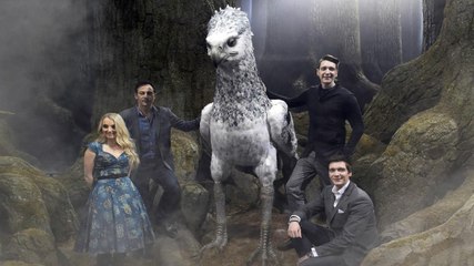 Harry Potter&#39;s Forbidden Forest Comes Alive