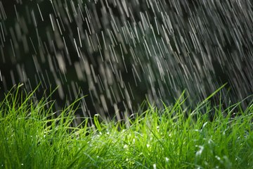 Why does rain smell so good?