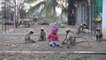 A Special Bond Between A Child & 20 Monkeys