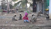 A Special Bond Between A Child & 20 Monkeys