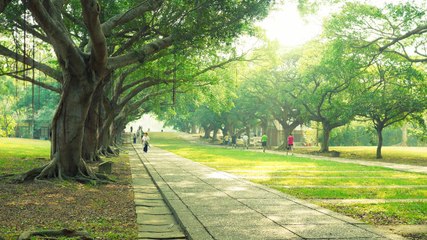 Dubai Announces Major New Park Project 🌳