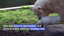 Kara the polar bear cub goes on her first outing at France's Mulhouse zoo