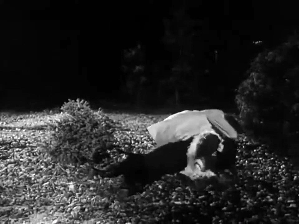 Der Kommissar, Staffel 5, Folge 7  Tod eines Hippiemädchens part 2/2