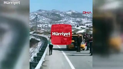 Pitbull cinsi köpeğine el konulmak istenince kafasına silah dayadı