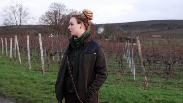 Γερμανία: Στροφή στο κυνήγι εν μέσω πανδημίας