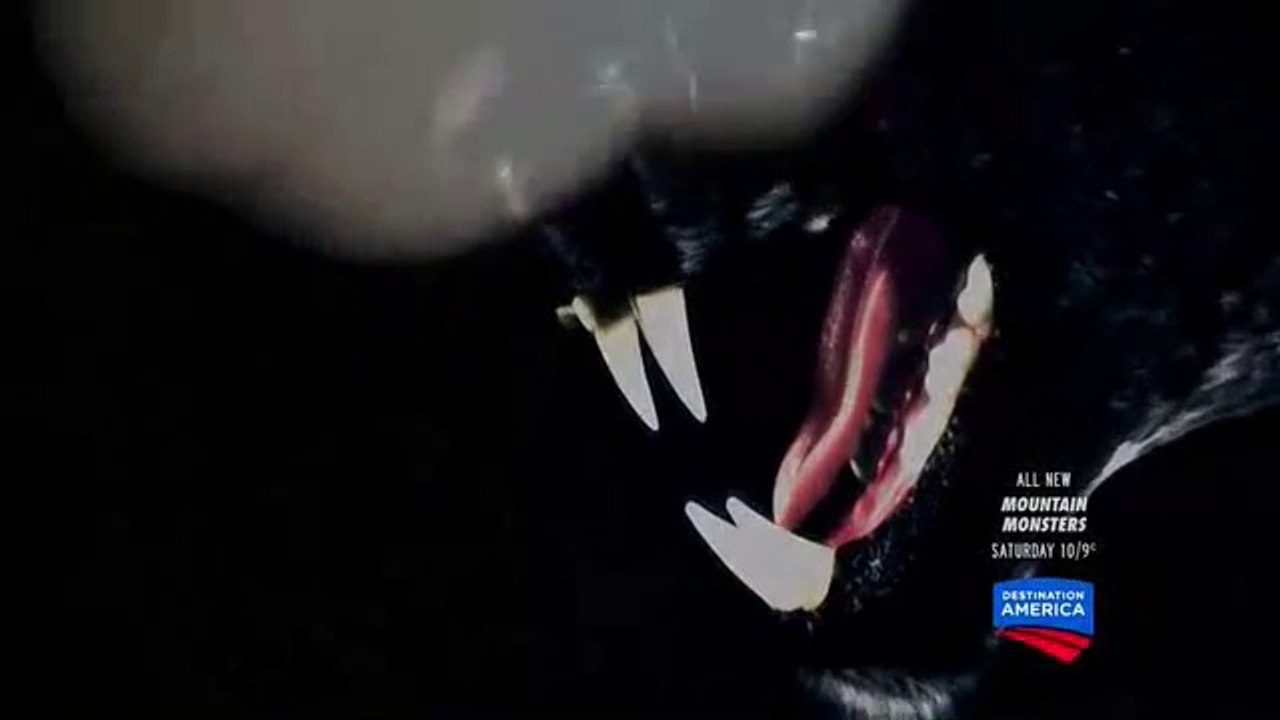 DEMON PANTHER,Illinois