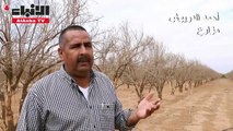 ندرة المياه تهدد منطقة زراعية شاسعة في المغرب