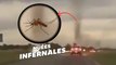 Des tornades de moustiques apparaissent en Argentine