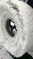Snowstorm While Golfing Equals Large Snow Wheels