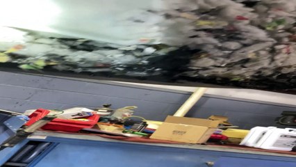 Mechanics Gently Try to Remove a Family of Squirrels from Vehicle Hood