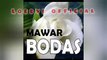 Lagu SUNDA MAWAR BODAS Cover by  - Mr Loedvi