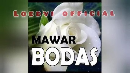 Lagu SUNDA MAWAR BODAS Cover by  - Mr Loedvi