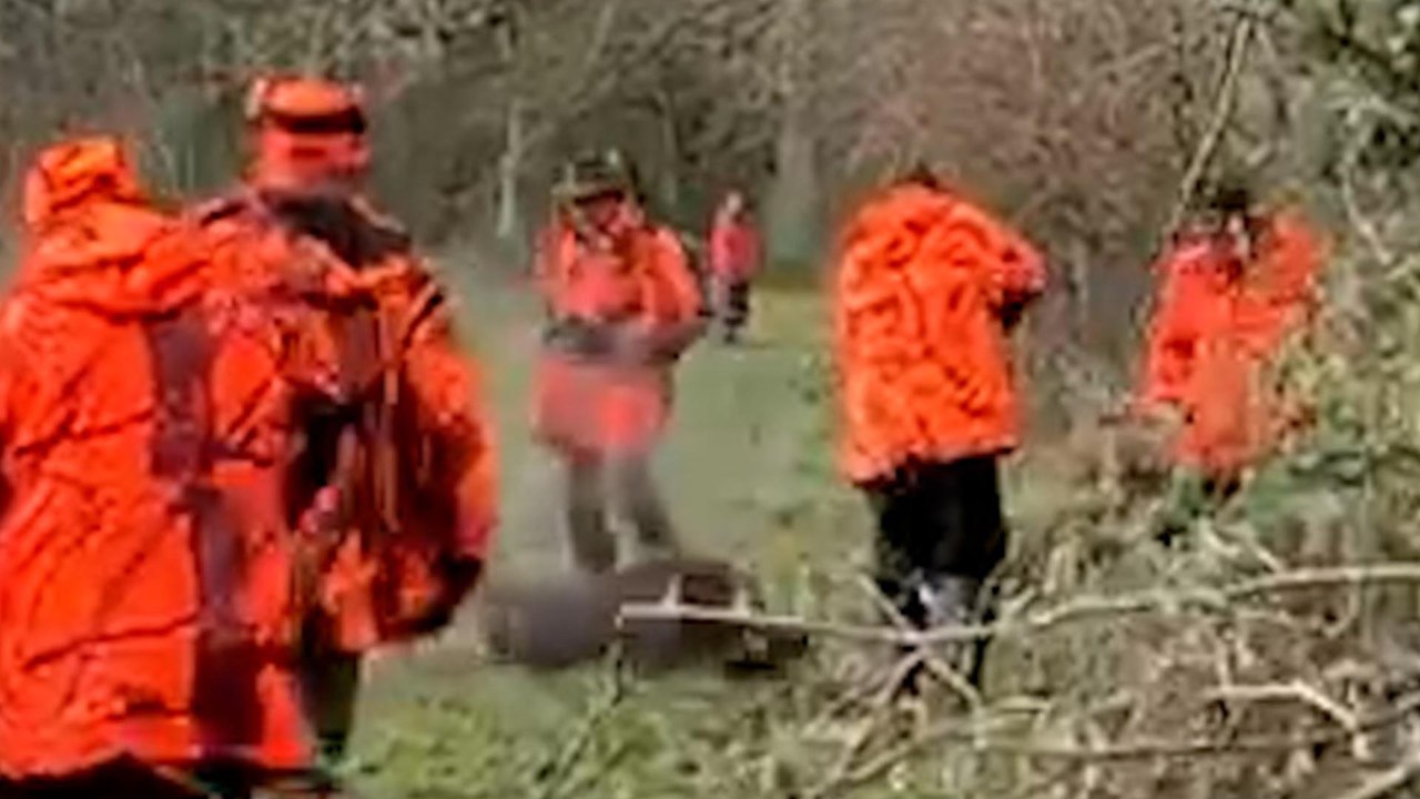 Sanglier domestiqué abattu par un chasseur : «J’en ai encore les larmes aux yeux», confie Alain un an après