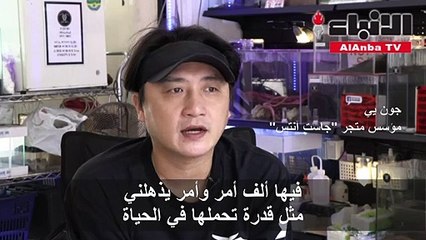 متجر في سنغافورة لبيع النمل كحيوانات أليفة