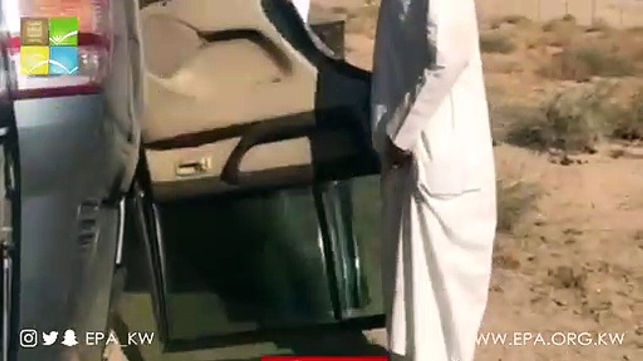 البيئة