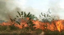 Emergencia por incendios forestales en Cesar y Casanare