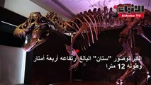هيكل عظمي لديناصور تي-ريكس يحطم الرقم القياسي في مزاد
