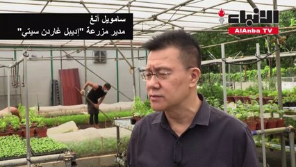 بساتين على أسطح ناطحات السحاب تلقى رواجا في سنغافورة