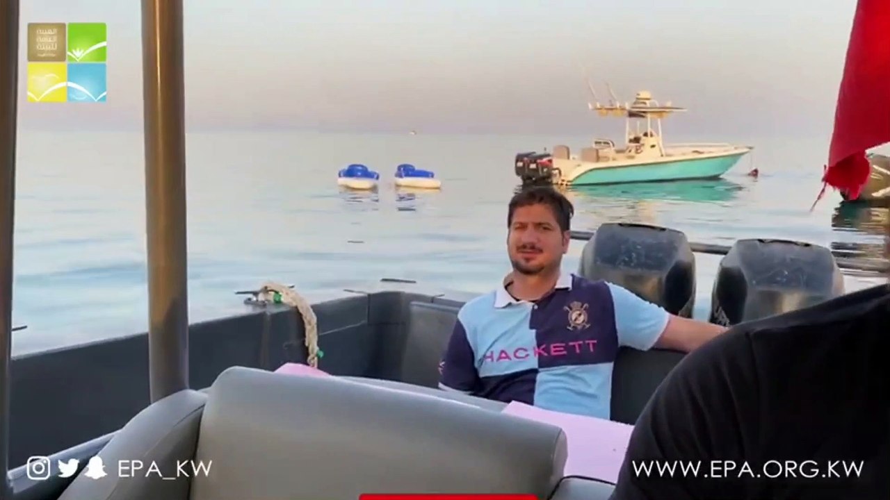 البيئة