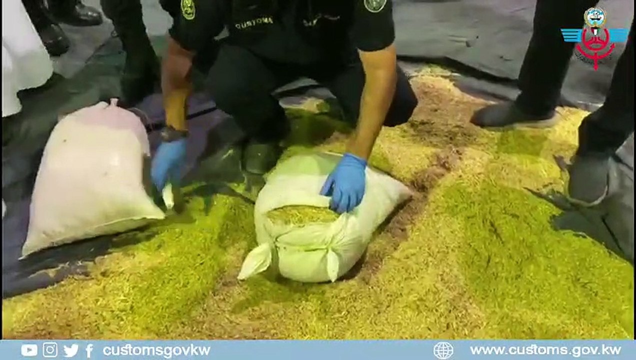 ‏جمارك الكويت إحباط محاولة تهريب حاويات أعلاف م...