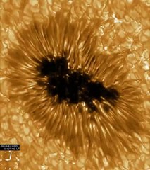 تلسكوب يلتقط المشاهد الأولى على الإطلاق لـهياكل الشمس