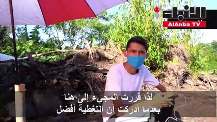 في السلفادور الطلاب يبحثون عن إشارة الإنترنت