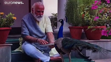 شاهد- صديق فريد من نوعه يجتمع مع رئيس وزراء الهند