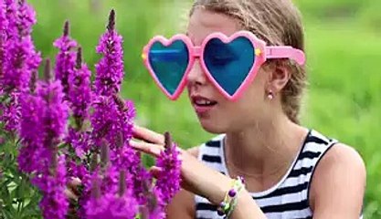 What's inside an elephant trunk