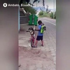 طفل يضع قناعا على وجه كلبه قبل ركوب الدراجة معا